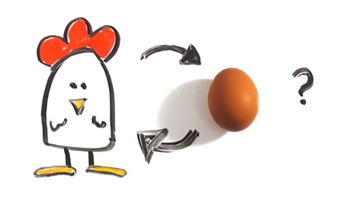 Так все-таки курица или яйцо: ответ на извечный вопрос дали ученые