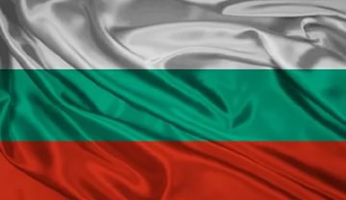 Птичий грипп в Болгарии: угроза для птицеферм и меры предосторожности