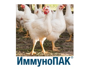 ИммуноПак