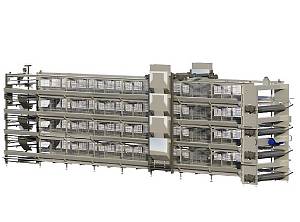 Клеточная батарея для содержания бройлера ремонтного молодняка